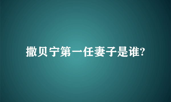 撒贝宁第一任妻子是谁?