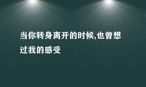 当你转身离开的时候,也曾想过我的感受