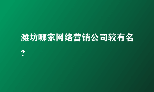 潍坊哪家网络营销公司较有名？