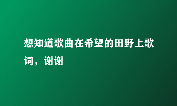 想知道歌曲在希望的田野上歌词，谢谢