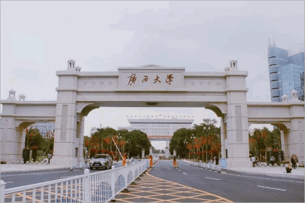 广西大学预科班分数线2021