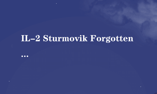 IL-2 Sturmovik Forgotten Battles是不是就是IL21946？？