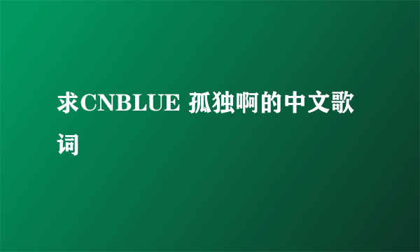 求CNBLUE 孤独啊的中文歌词