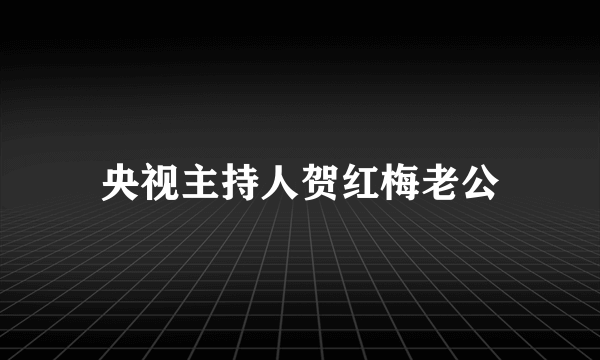 央视主持人贺红梅老公