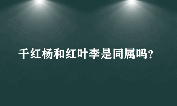 千红杨和红叶李是同属吗？