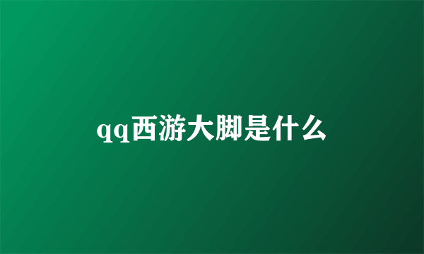 qq西游大脚是什么