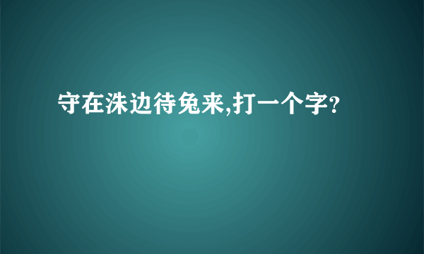 守在洙边待兔来,打一个字？