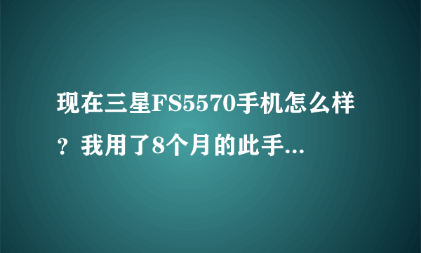 现在三星FS5570手机怎么样？我用了8个月的此手机被偷，小偷当二手卖，能有多少钱，会有人要吗？