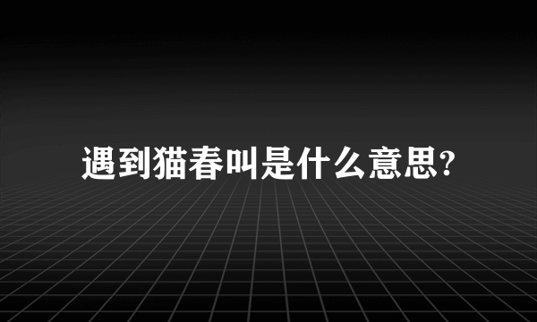 遇到猫春叫是什么意思?