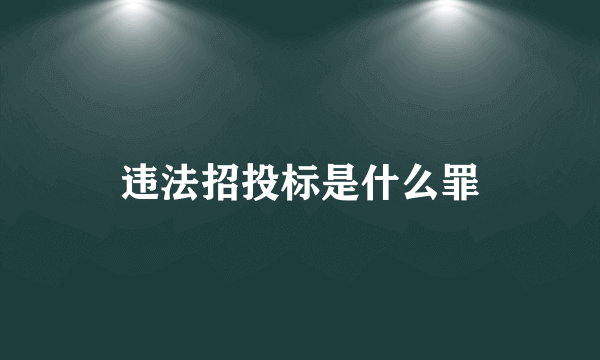 违法招投标是什么罪