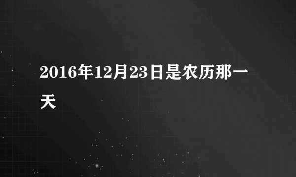 2016年12月23日是农历那一天