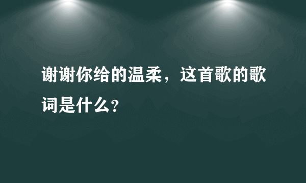 谢谢你给的温柔，这首歌的歌词是什么？