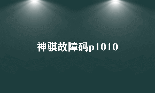 神骐故障码p1010