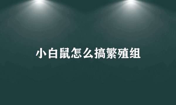 小白鼠怎么搞繁殖组