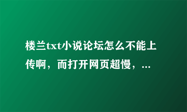 楼兰txt小说论坛怎么不能上传啊，而打开网页超慢，我打开其他的网页速度正常。