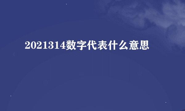 2021314数字代表什么意思