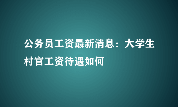 公务员工资最新消息：大学生村官工资待遇如何