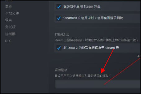 dota2国服启动项是什么？