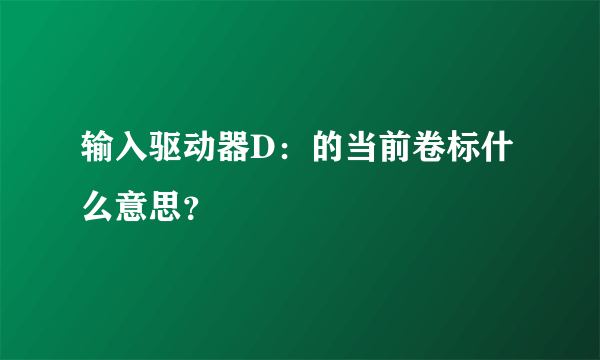 输入驱动器D：的当前卷标什么意思？