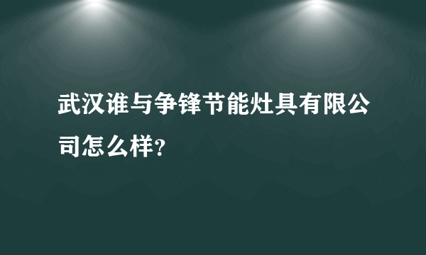 武汉谁与争锋节能灶具有限公司怎么样？