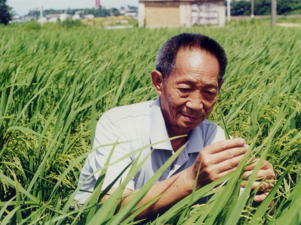 用泥塑致敬袁隆平，你觉得这位大叔做的泥塑怎么样？