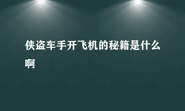 侠盗车手开飞机的秘籍是什么啊