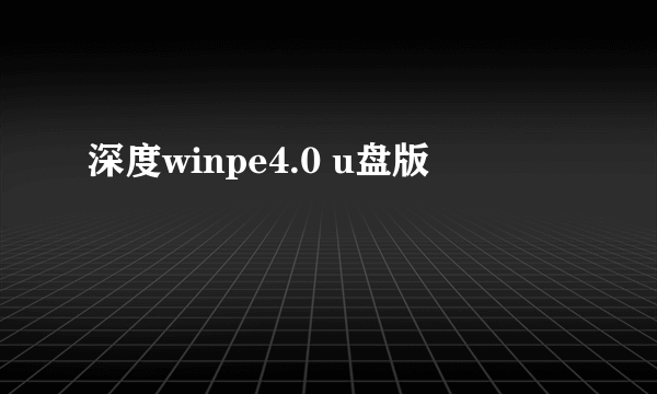 深度winpe4.0 u盘版