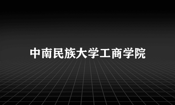 中南民族大学工商学院