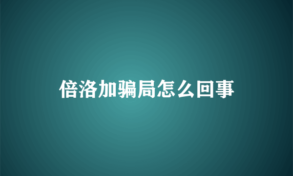 倍洛加骗局怎么回事