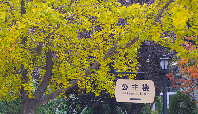 上海到青岛旅游，求旅游攻略？