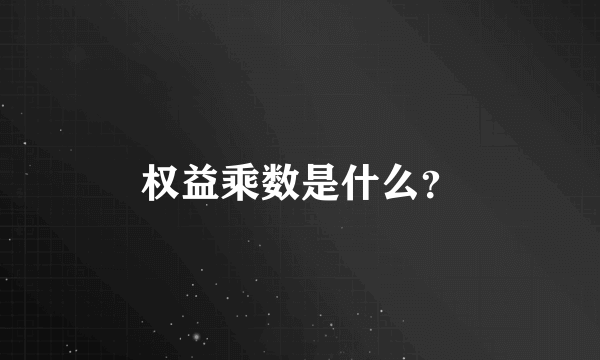 权益乘数是什么？