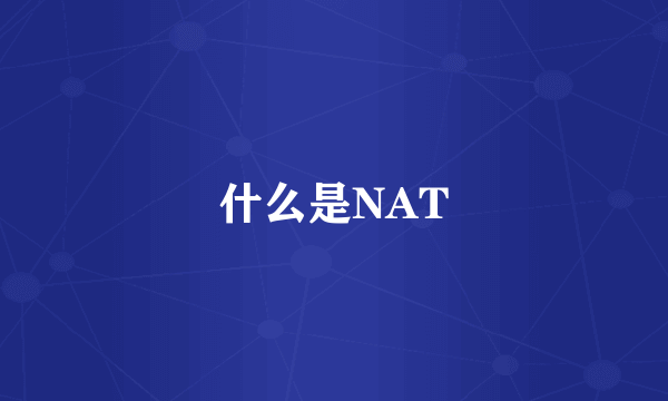 什么是NAT