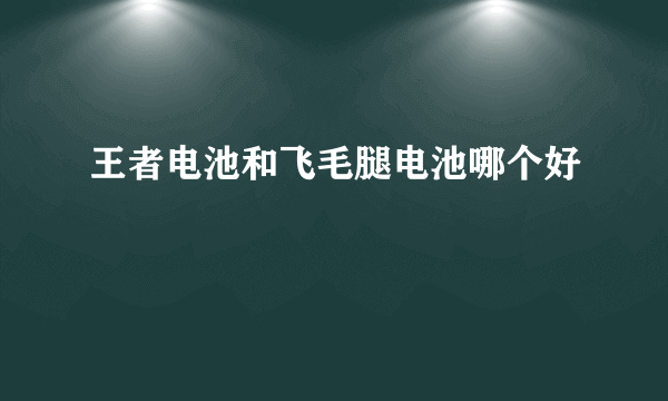 王者电池和飞毛腿电池哪个好