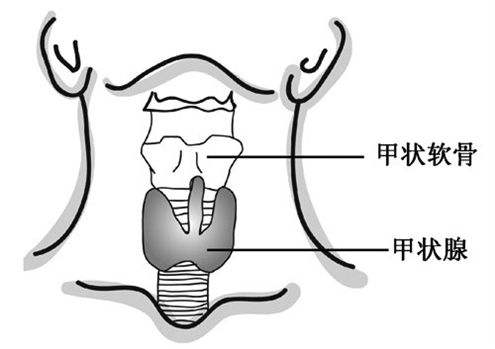 如何预防甲状腺疾病呢？