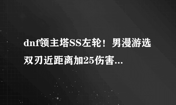 dnf领主塔SS左轮！男漫游选双刃近距离加25伤害的和老爷子左轮究竟选哪个好？求高手回答