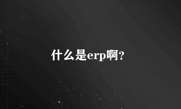 什么是erp啊？