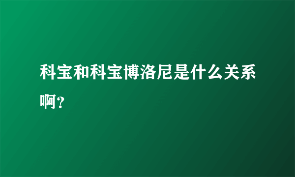 科宝和科宝博洛尼是什么关系啊？