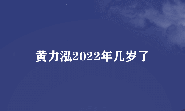 黄力泓2022年几岁了