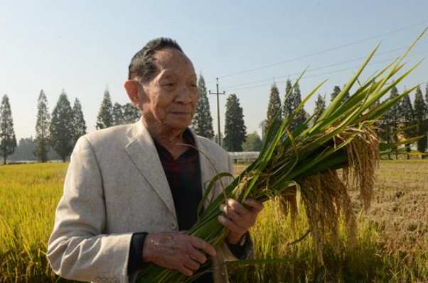 袁隆平病危之际还关心稻子长势，袁隆平毕生的追求是什么？