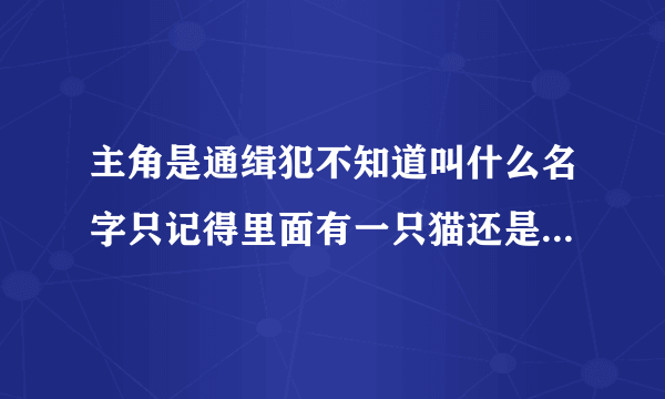 主角是通缉犯不知道叫什么名字只记得里面有一只猫还是女主是萝莉的科幻小说