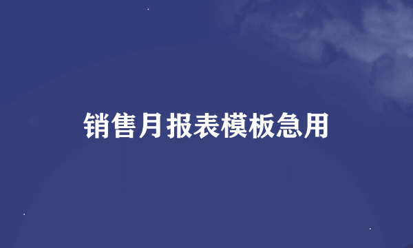 销售月报表模板急用