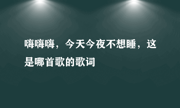 嗨嗨嗨，今天今夜不想睡，这是哪首歌的歌词