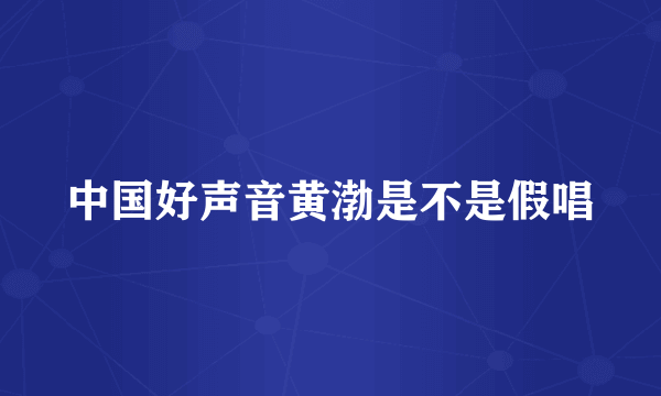 中国好声音黄渤是不是假唱