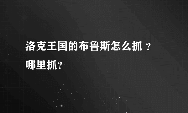 洛克王国的布鲁斯怎么抓 ？哪里抓？