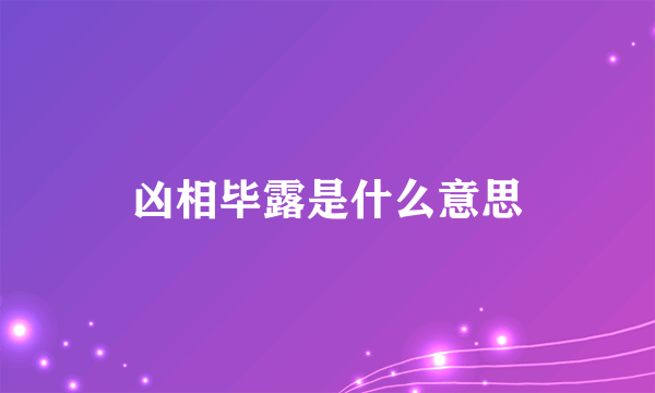 凶相毕露是什么意思