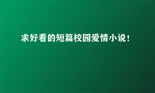 求好看的短篇校园爱情小说！