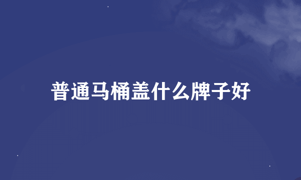 普通马桶盖什么牌子好