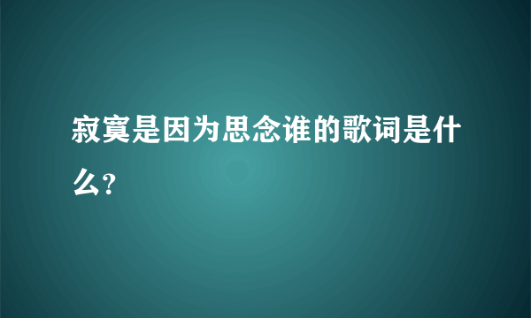 寂寞是因为思念谁的歌词是什么？