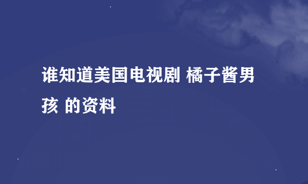 谁知道美国电视剧 橘子酱男孩 的资料