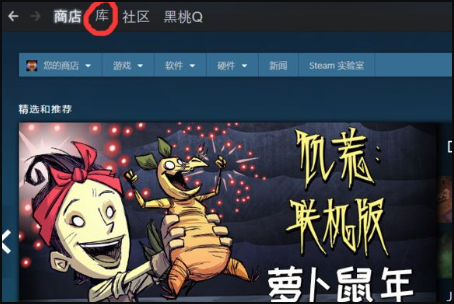 dota2国服启动项是什么？